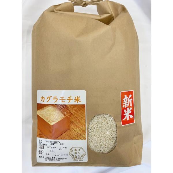 令和7年産 カグラモチ 白米 10kg