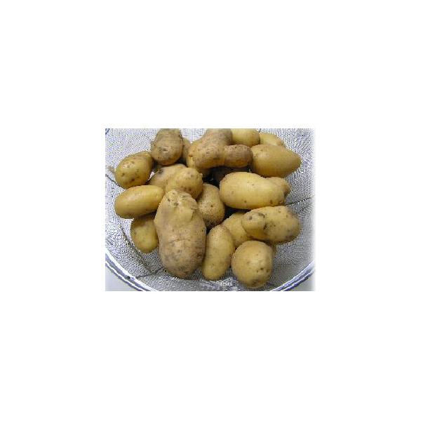 _WKCiό`[NCj1kg