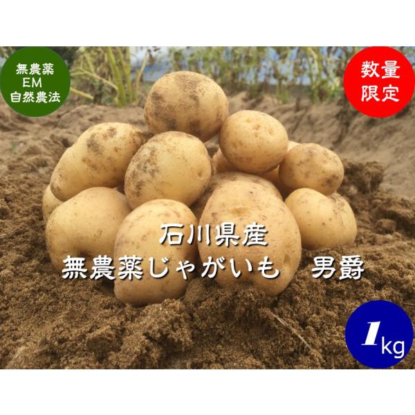 イモ類 男爵 無農薬の人気商品・通販・価格比較 - 価格.com イモ類 男爵 無農薬の人気商品・通販・価格比較 - 価格.com