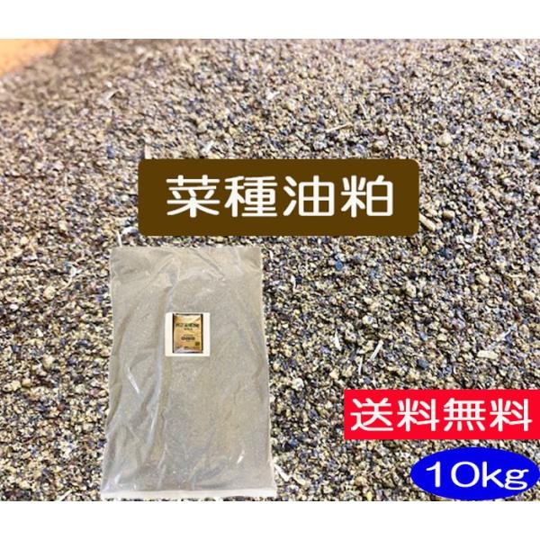 菜種油粕　10ｋｇ