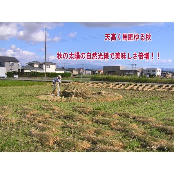 無農薬、有機栽培天日干し稲わら 300g「約1束」 : ほんだ 無農薬、有機栽培天日干し稲わら 300g「約1束」 : ほんだ