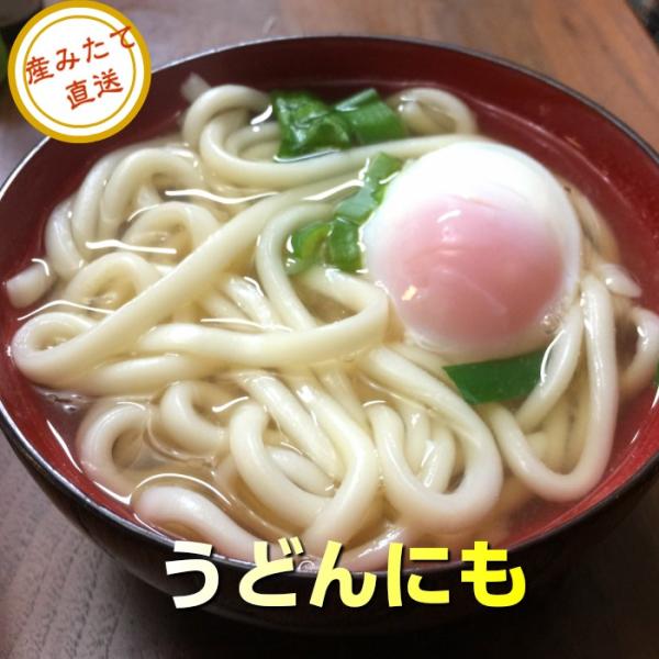 ほんだ農場の卵 たまご 玉子 大寒の卵