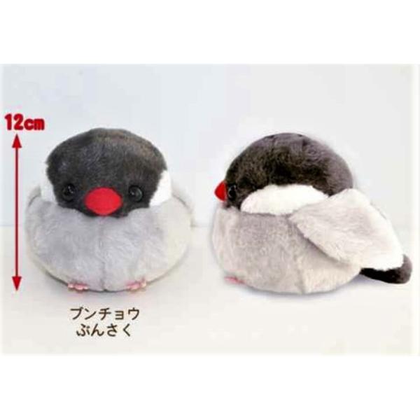 ふくふくぶんちょぬいぐるみ 文鳥 白文鳥 ぬいぐるみ ふくふく堂 大サイズ ちっちゃくなったよーーー❣️ ̗̀ 📢🐥⸒⸒ ふくふくぶんちょの