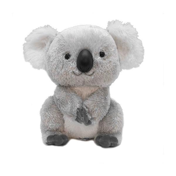 hondastore_aurora-coara-s