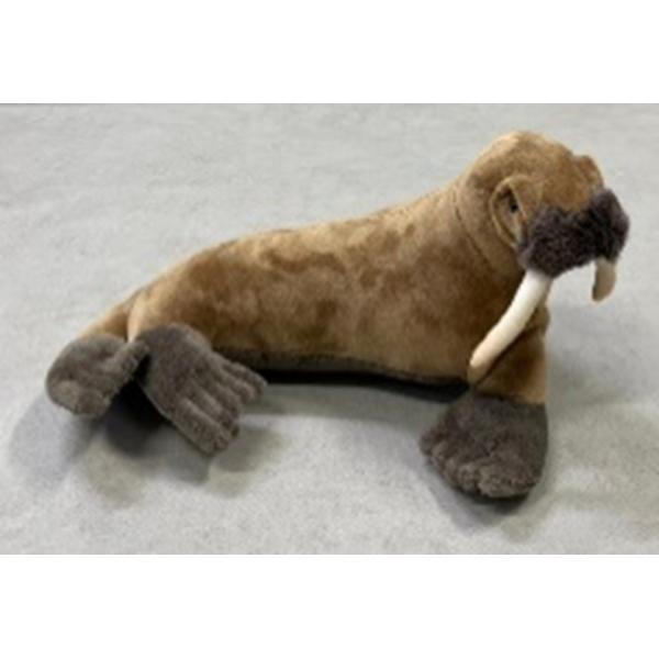 hondastore_collecta-2552