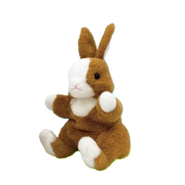 hondastore_cute-usahp-suwari