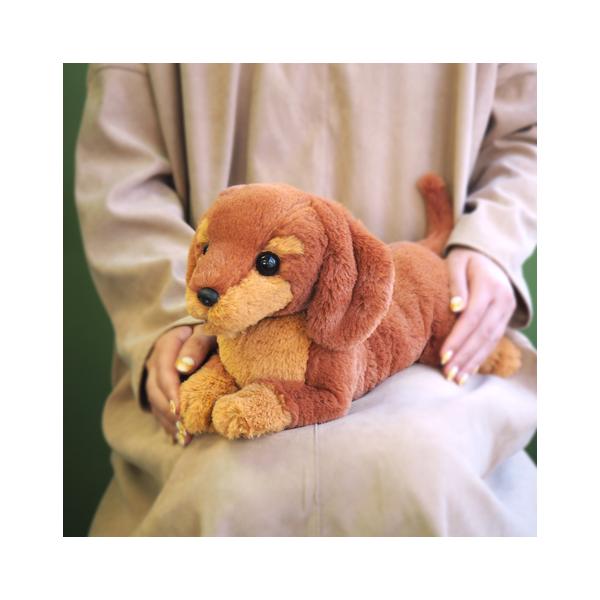 hondastore_hizawan-dkrbr