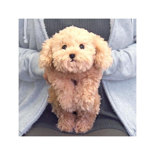 約H17×W19×D37cm※寝そべっている状態のサイズです。お膝にのせてほっこりしたりポーズをとらせて飾ったり…柔らかな素材で手触り抜群！重みがあるので抱っこ感がとても良いです。