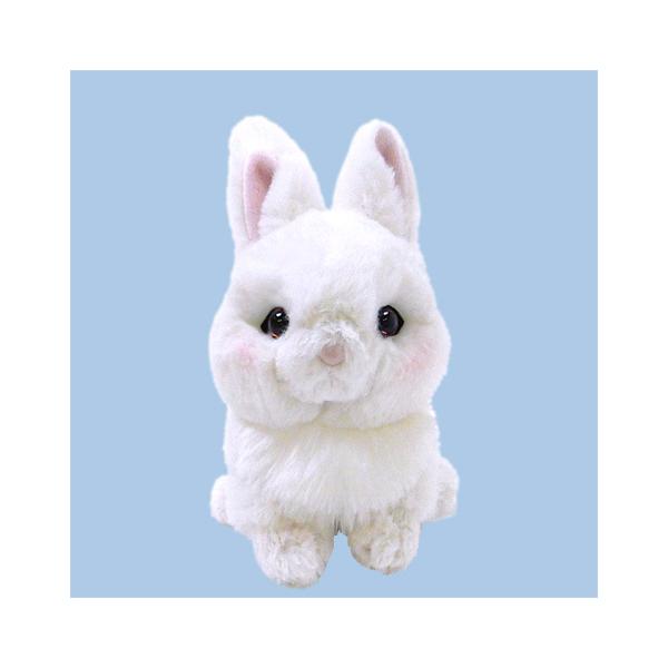 hondastore_lapinou-dwarf