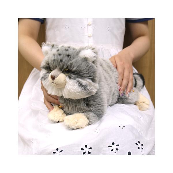 ひざねこ Sサイズ マヌルネコ 山猫 ぬいぐるみ ネコ サンレモン