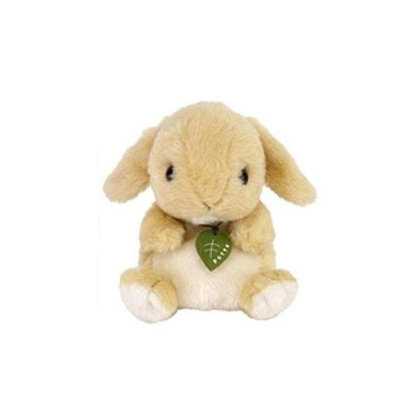 hondastore_potte7889