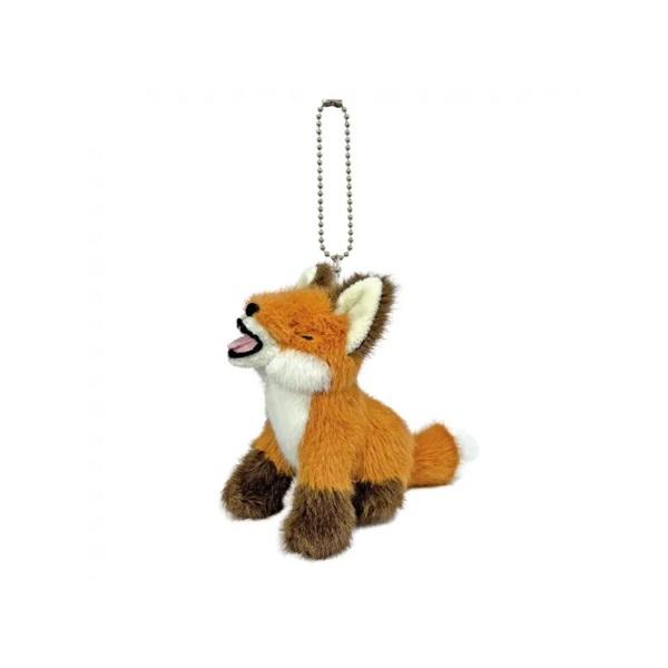 hondastore_to-tooboe-foxkc