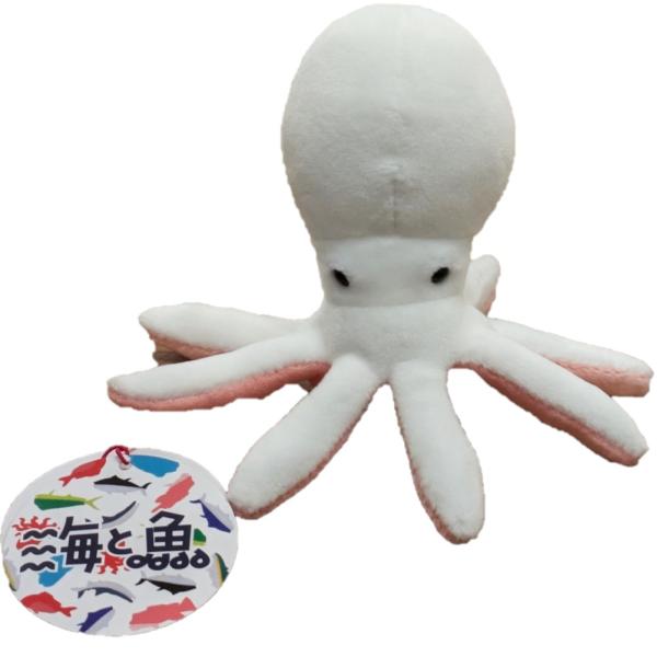 hondastore_to-umisakana-takobaby hondastore_to-umisakana-takobaby