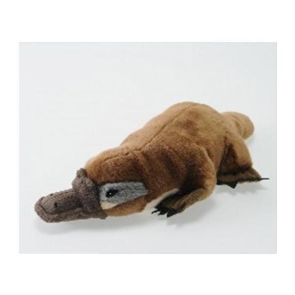 カモノハシ ぬいぐるみ Tst Tst Sm133 Honda Store 通販 Yahoo ショッピング