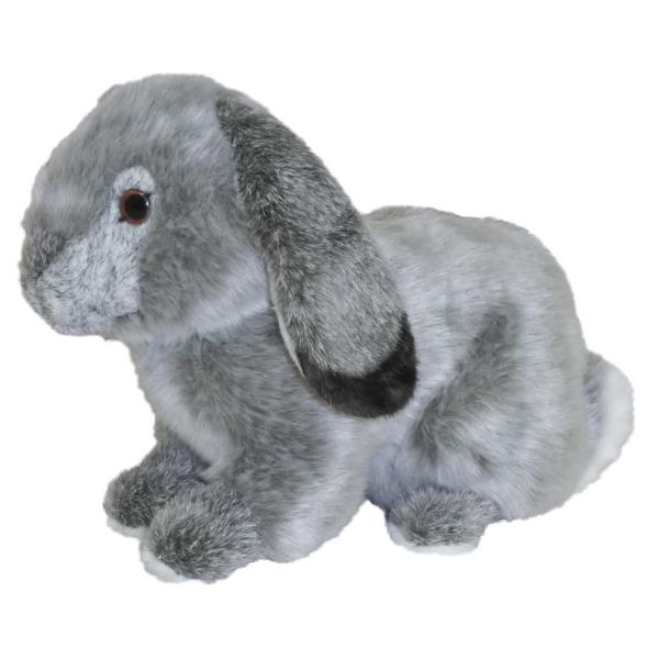 hondastore_tst-sm164