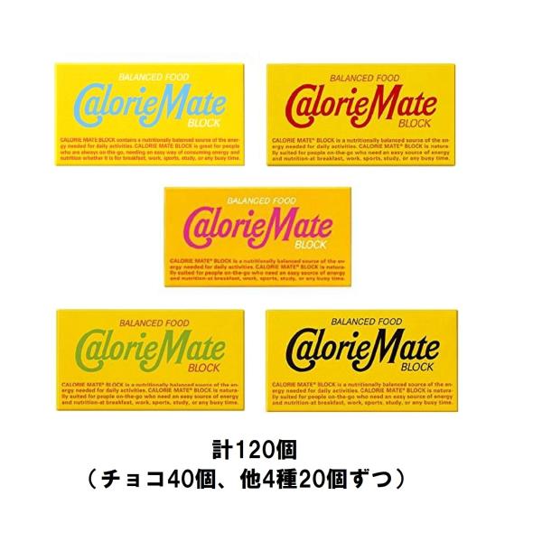 カロリーメイト 40個 大塚製薬 2本入カロリーメイト 計120個セット（チョコ40個、他4種類20