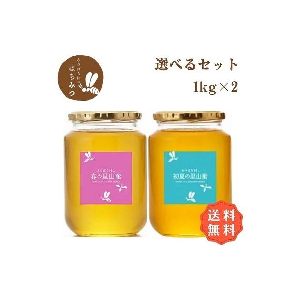 honey-shop_1000-2set honey-shop_1000-2set