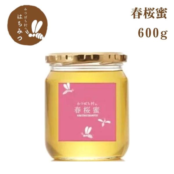 日本ミツバチの蜂蜜  600×2本
