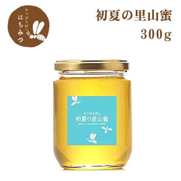 はちみつ 3kg 国産 天然 純粋 蜂蜜 3000g 【養蜂家直送】 honey-shop_syoka-300