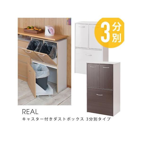 キャスター付きダストボックス REAL 3分別タイプ 薄型 ゴミ箱 ごみ箱 キャスター付きダストボックス REAL 3分別タイプ 薄型 ゴミ箱 ごみ箱
