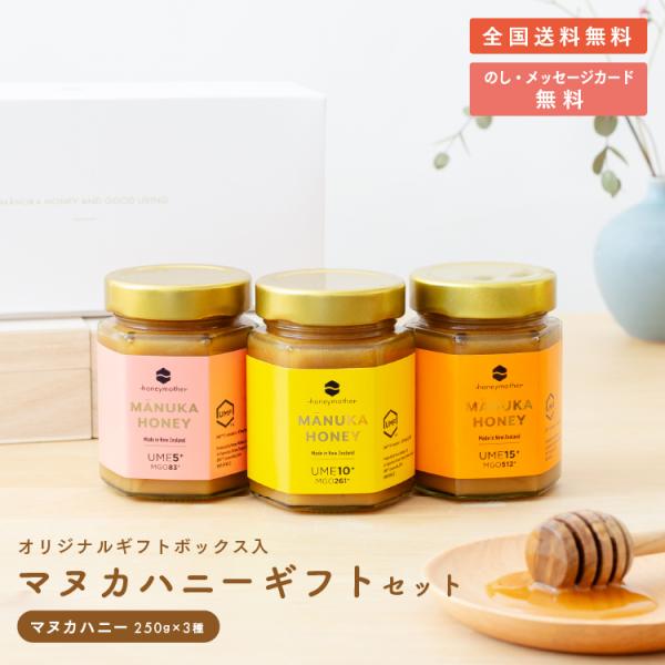マヌカハニー】スカーリアさんのアンチョビフィレ 45g× 48箱セット
