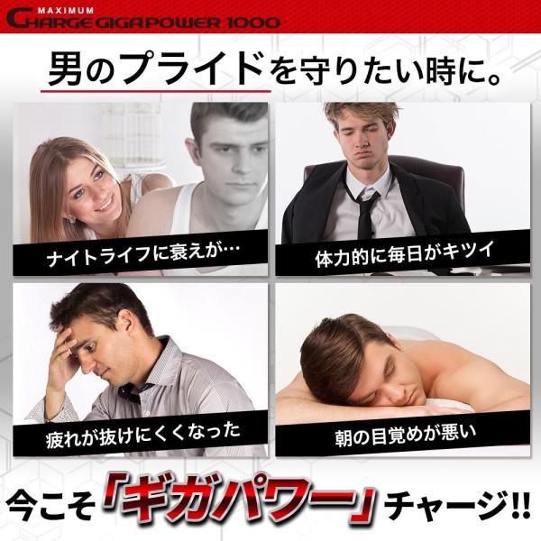 hongo-company_gigapower1000_2