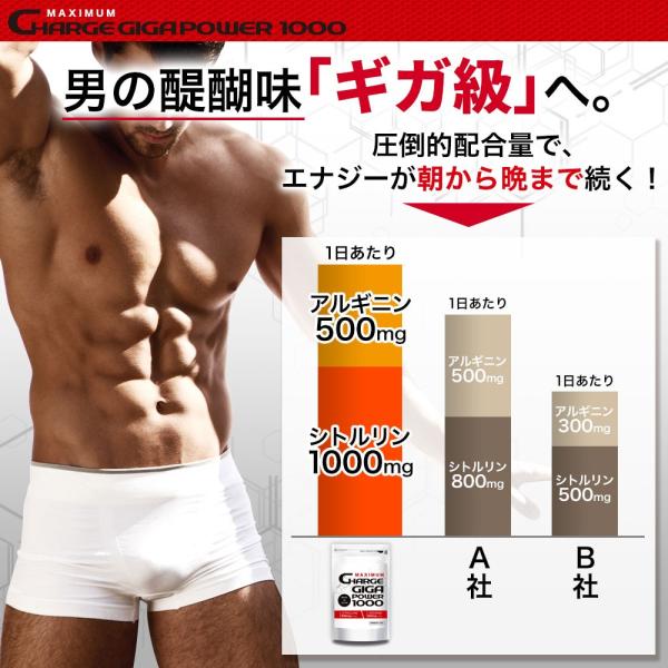 hongo-company_gigapower1000_3