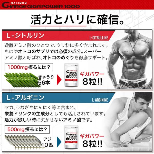 hongo-company_gigapower1000_4