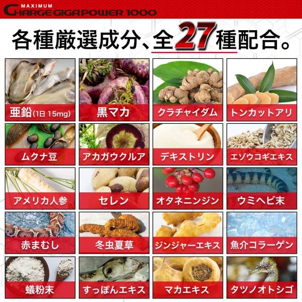 hongo-company_gigapower1000_5