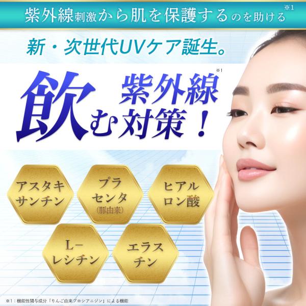 hongo-company_whitebarrier_1_d_20240802084848