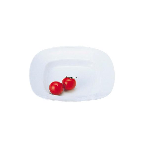 �y������z�@26cm�X�N�G�A�X�[�vplate2205�~