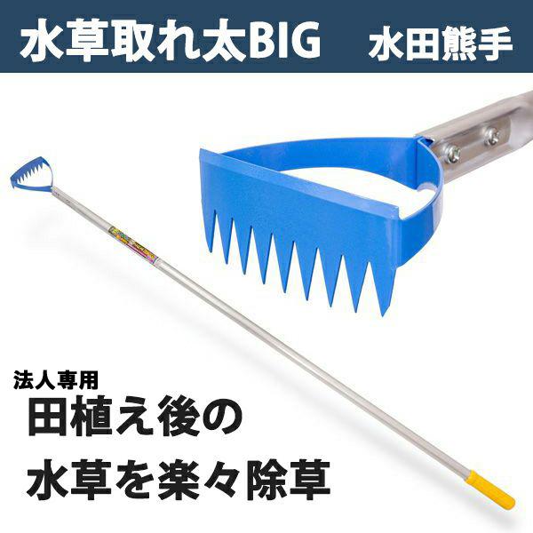 cF Ƃꑾ rbO DK-818 ֐n {  @lpi