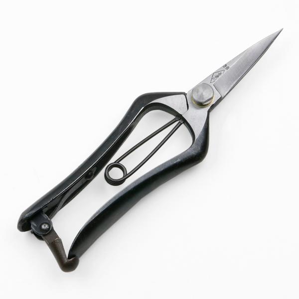 ジム・ムーア　ダイヤ　はさみ　種切り JIM工具 泡切り鋏