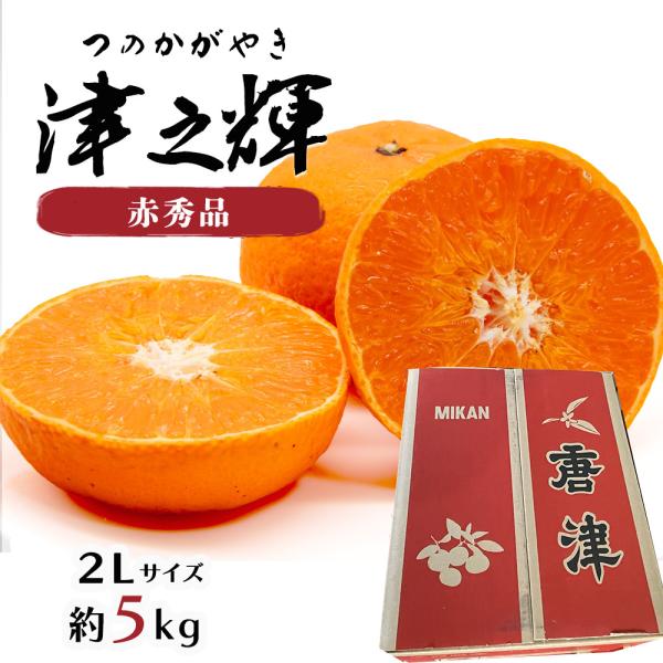 ケース 箱売り 津之輝 つの輝き つのかがやき 赤秀 約 5kg 佐賀県産