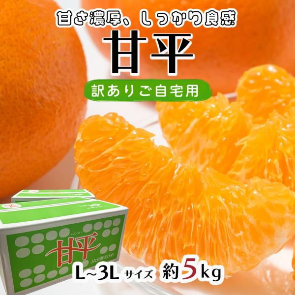 甘平(5kgx3箱)・ご家庭用 honmamonya_c-kanpe