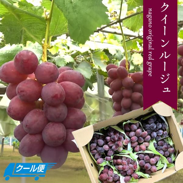 honmamonya_c-rouge-5co