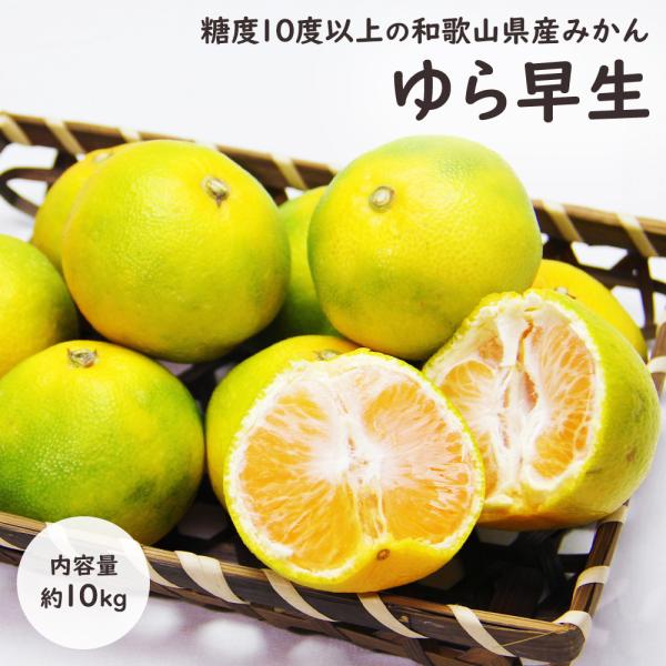 ゆら早生 極早生みかん ゆら 由良 和歌山 みかん ミカン 柑橘 10kg S