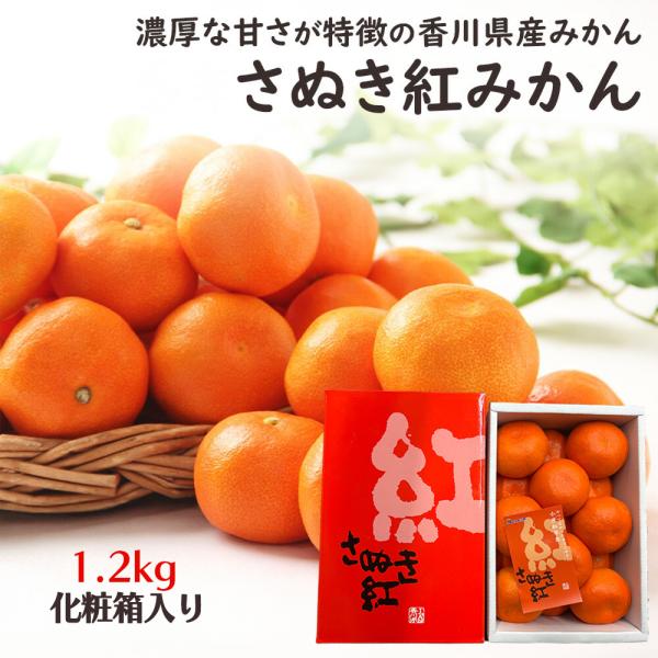 香川県産 さぬき紅みかん 小原紅早生 みかん 柑橘 フルーツ ギフト