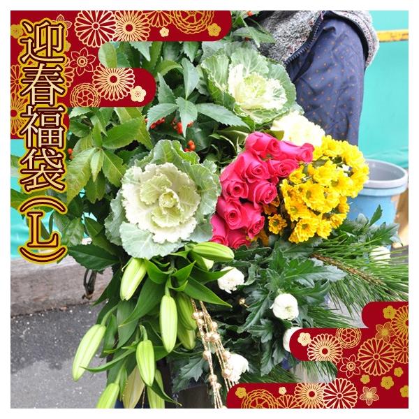  }t   ؂   40{   12/21`12/30̊ԂœwOK