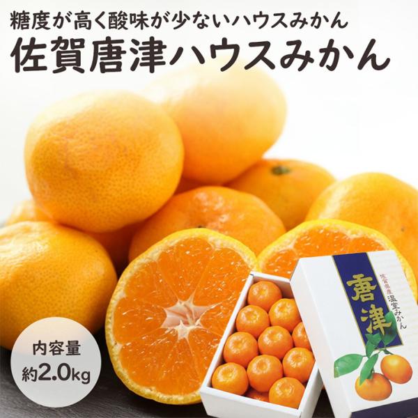 【予約】佐賀県産 佐賀唐津ハウスみかん 2kg 唐津 ハウスみかん みかん 柑橘 フルーツ ギフト プレゼント お祝い お供え【MN】[佐賀唐津ハウスみかん 2kg]