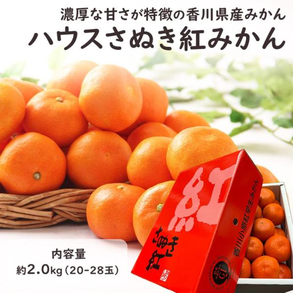 【予約】香川県産 ハウスさぬき紅みかん 2kg 小原紅早生 ハウスみかん みかん 柑橘 フルーツ ギフト プレゼント お祝い お供え【MN】[ハウスさぬき紅みかん 2kg]
