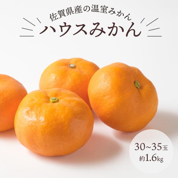 ハウスみかん 温室みかん みかん ミカン 蜜柑 30〜36玉 約1.6kg 佐賀県
