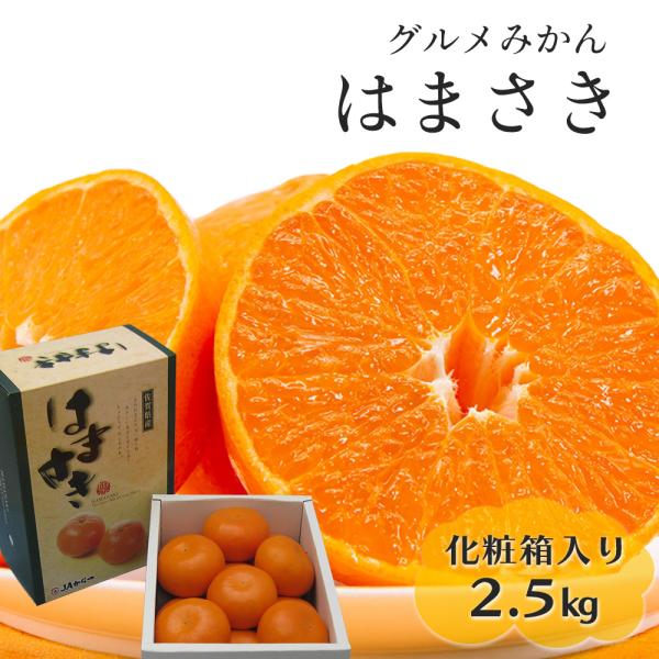 2箱セット贈答用　麗紅LL-M 4kg せとか姉妹品種　甘く濃い味が特徴 はまさき 佐賀県産 せとか の姉妹品種 柑橘 みかん 唐津 果物 麗紅 れ