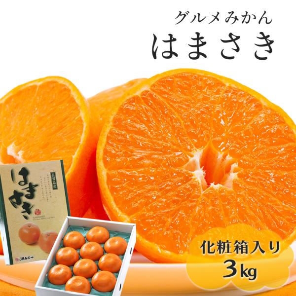 はまさき 佐賀県産 せとか の姉妹品種 柑橘 みかん 唐津 果物 麗紅 れ