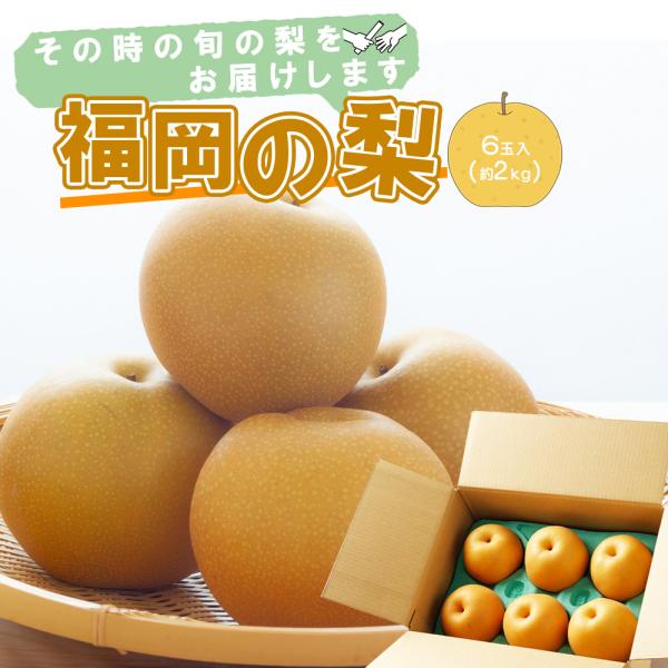 福岡県産 幸水梨 豊水梨 玉水梨 甘太梨 秋月梨 6玉入 約 2kg ご家庭用 ご自宅用 なし ナシ 赤梨 和梨 果物 フルーツ [品種リレー 福岡梨 6玉入] 【BO】