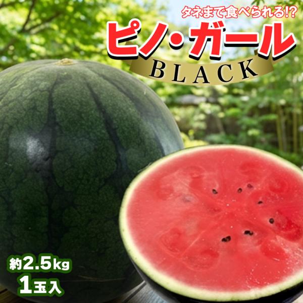 山形県産 他 小玉すいか ピノガール ブラック 1玉 2.5kg程度 1玉 スイカ 西瓜 ギフト お中元 お供え お祝い 【BO】[ピノガールブラック 1玉入]