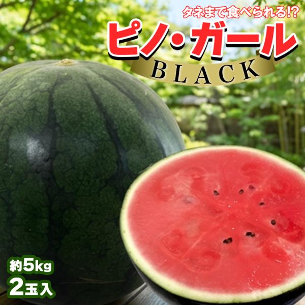 山形県産 他 小玉すいか ピノガール ブラック 2玉 計5kg程度 スイカ 西瓜 ギフト お中元 お供え お祝い 【BO】[ピノガールブラック 2玉入]