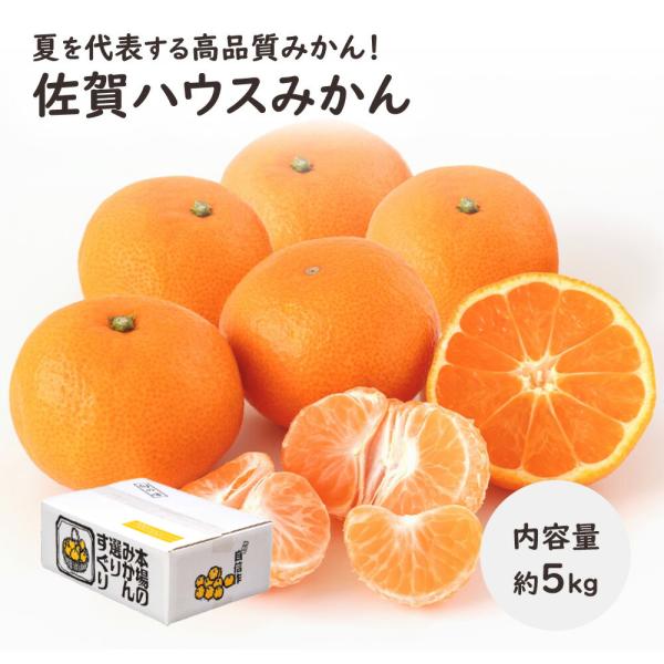 佐賀県産 ハウス みかん 5kg お中元 ギフト 送料無料 果物ギフト フルーツギフト 御中元 【MR】 [佐賀県産ハウスみかん5kg]