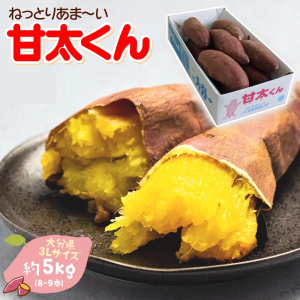 【商品名】甘太くん 3Lサイズ【産　地】大分県産【総重量】約5kg (8-9本)【発送時期】12月上旬頃より順次発送