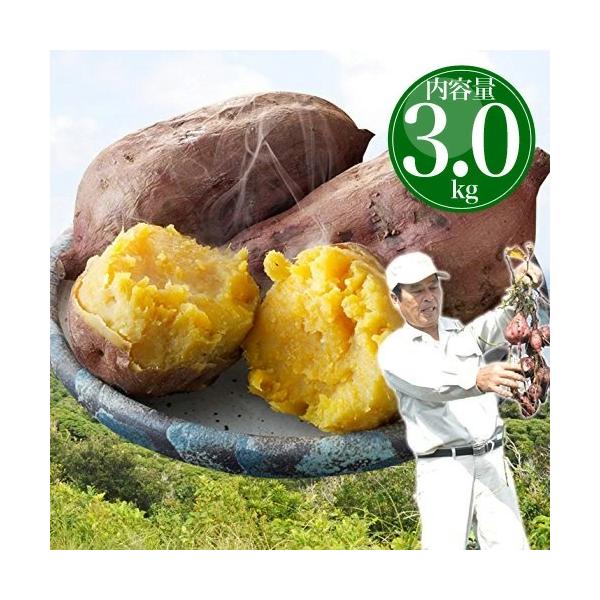 種子島産】完熟！安納芋紅訳アリ品（SML混合）20kg【病気に負けるな